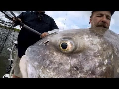 Monster Fish Are Out There! Featuring Jon Miller