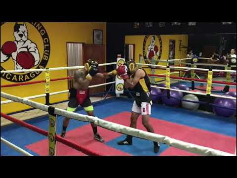 Guanteo Geovanny Tellez - Alpha Dog Boxing Club