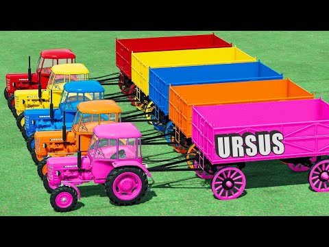 TRANSPORT of COLORS! HARVESTING SUNFLOWER WITH URSUS TRACTORS & Colored CAT LOADER! - #118