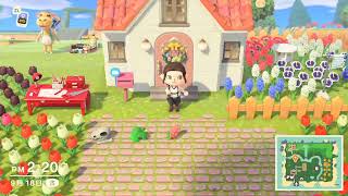 あつまれどうぶつの森　マイデザインで何か作る