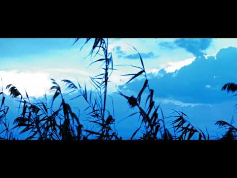 John Field - Nocturne No.10 in E minor - John O'Conor