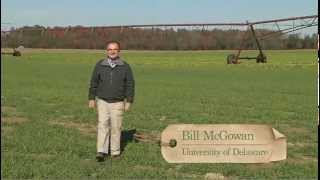 Heart & Soul of Sussex County, Delaware