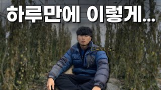 토마토가 얼어죽으면 이렇게 됩니다.