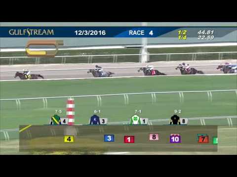 2016 Claiming Crown Rapid Transit Stakes - Shaft of Light - Emisael Jaramillo - Gulfstream Park