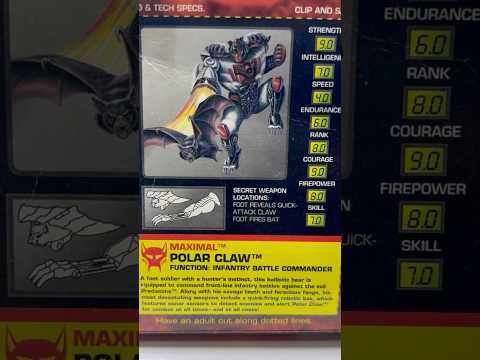 30th Anniversary! Transformers Beast Wars Mega Class Polar Claw appreciation #beastwars