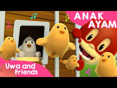 Anak Ayam Piyik Piyik - Lagu Binatang Lucu - Induk Ayam Petok Petok