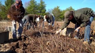 Tree Nursery Tour