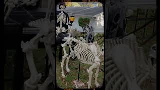 Haunted Hearse with Skeleton Horse