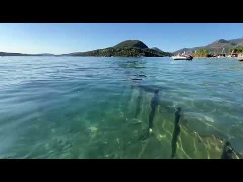 Hajóroncs Nydrinél