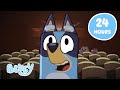 LIVE 24 HOURS Bluey Episodes In HD 18 FULL EPISODES Bluey