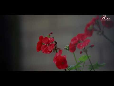 Ke frikë Allahun, kudo që të jesh - Hoxhë Sadullah Bajrami