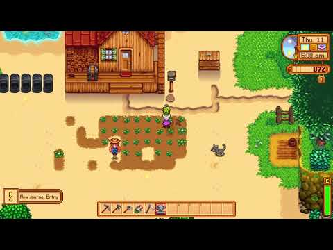 How to take good care of your pet Dog or Cat - Stardew Valley