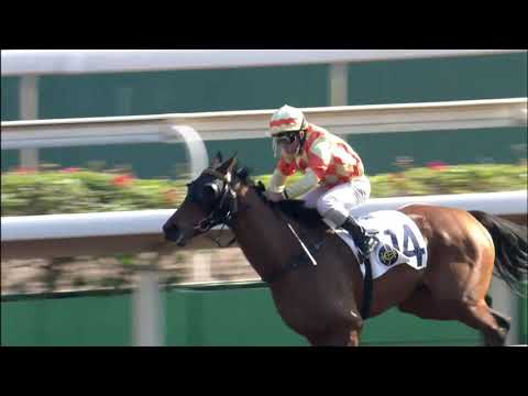 5/12/2021 (227) Speed Force - Matthew Poon