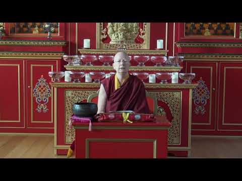 Don't Deceive Yourself - A Talk with Lama Zangmo