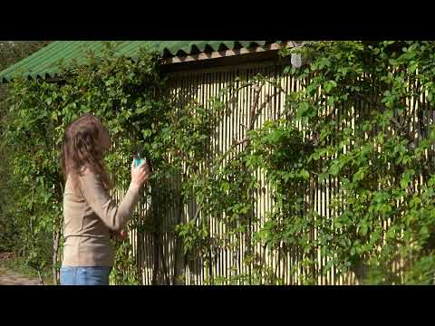 Миниатюра изображения товара Секатор механический Plantic Light L61 / 25261-01