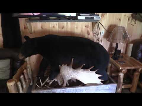Lodge Videos