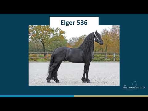 Elger 536