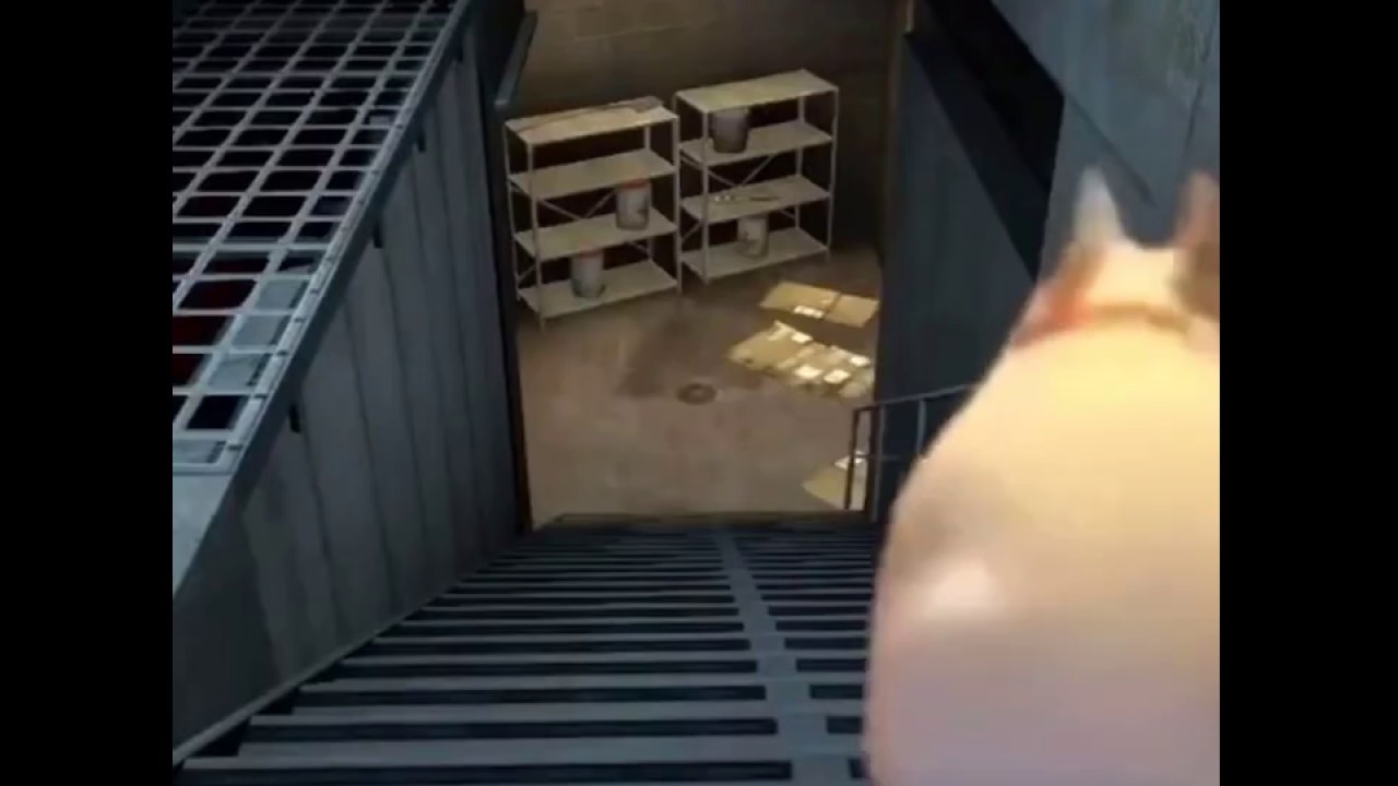 Dog Jumps Down Stairs in Overpass CSGO TikTok