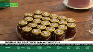 Miniatura do vídeo