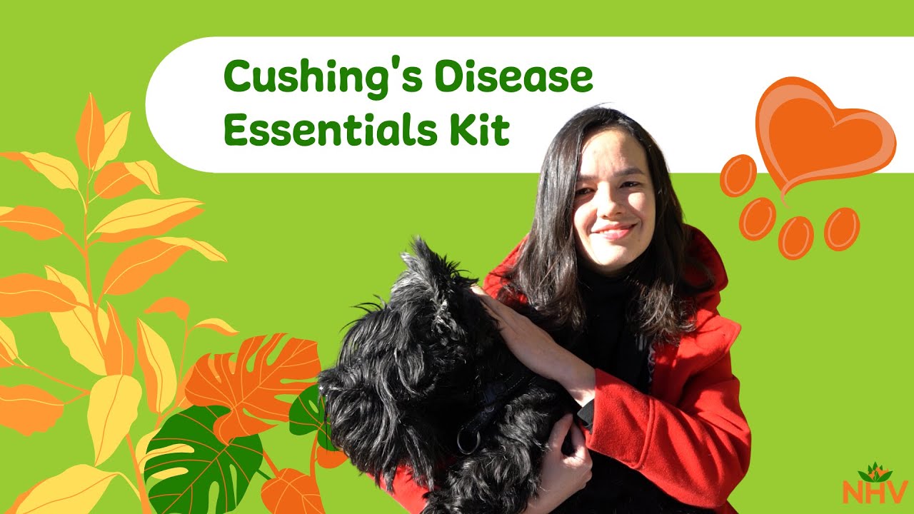 NHV Cushing's Disease Essentials Kit For Dogs