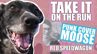 REO Speedwagon - Take It On The Run (Pop Punk cover by Punk Cover Moose)