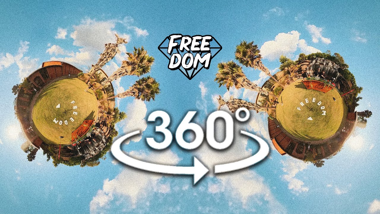 Capa do set Avidd b2b Roaz · 360º VR