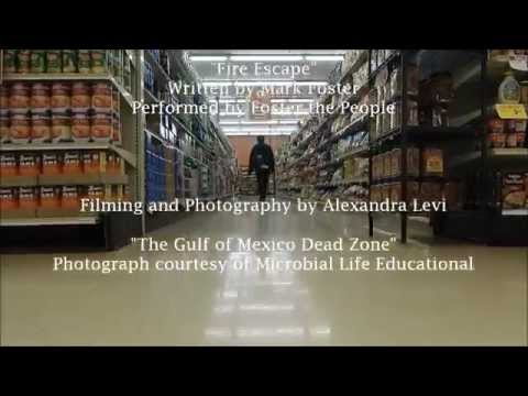 Amber Waves of Corporate Reigns