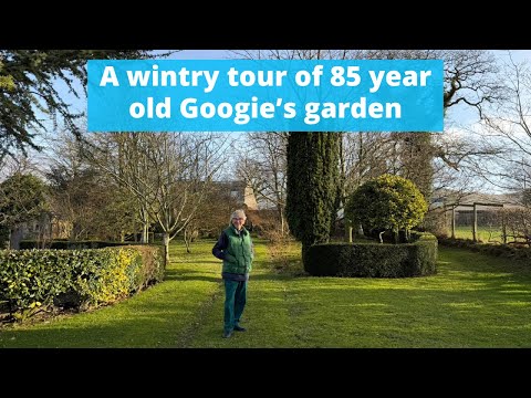 Winterbesuch in Googies Garten – Gartentipps von der 85-jährigen Googie x