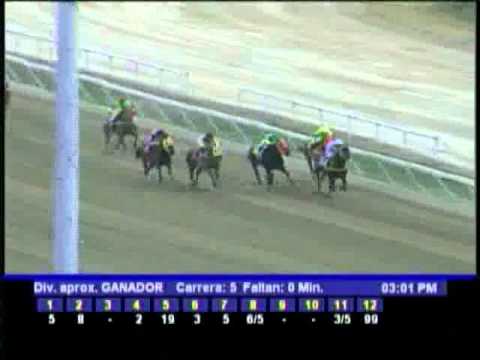 Resumen Domingo, 12 de Febrero de 2012 - La Rinconada