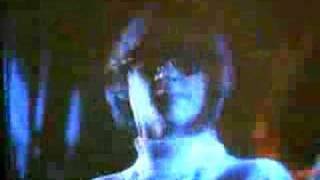 Star Collector...The Monkees