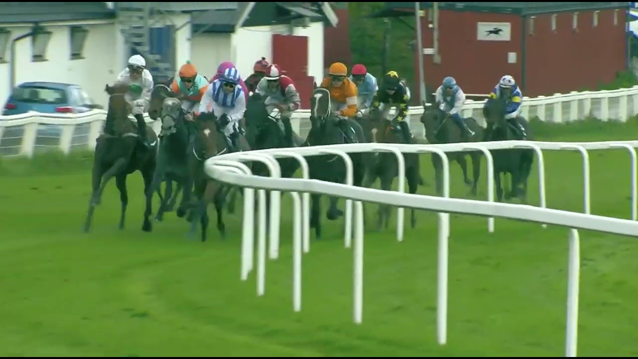 Breeders' Prize Classic 2022