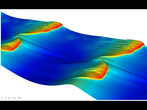 LMFL Fluid Mechanics Webinar: S. Popinet
