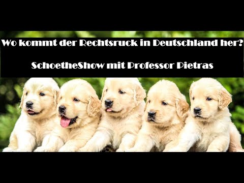 Wo kommt der Rechtsruck in Deutschland her? - SchoetheShow mit Professor Pietras