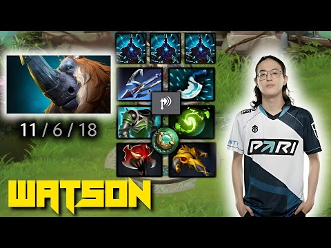 Watson Magnus Heavy Damage Brutal Carry - Pro Gameplay [Observe & Act]