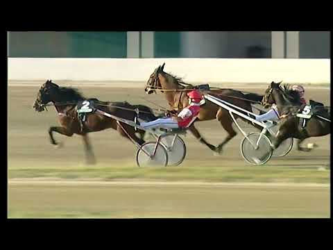 Napoli Trotto 16/06/2022 - 1ª corsa