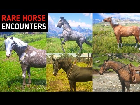 5 Best Rare Horses In Random Encounters With Location - RDR2