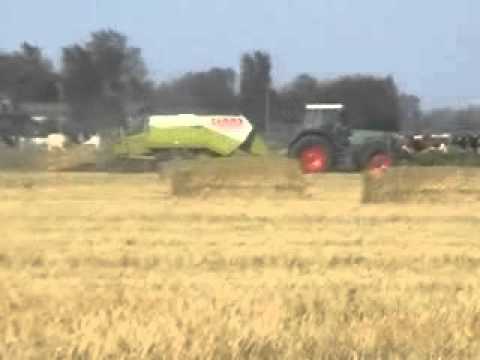 Goemaere Geert (Polien): Grootpakpersen + laden.