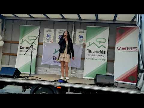 Tarandės gimtadienyje dainuoja solistė Karolina Krivickaitė, daina "What You Won't Do For Love"