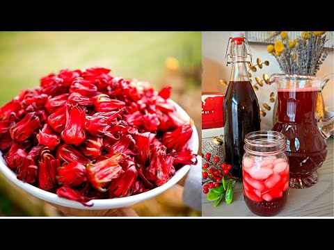 Caribbean Sorrel Drink