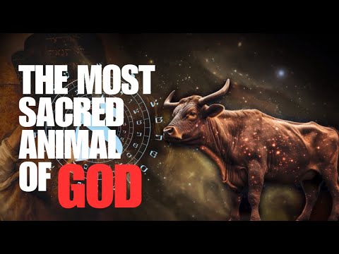 How Bulls and Cows Became The Most Sacred Animals of The Gods | [Documentary]