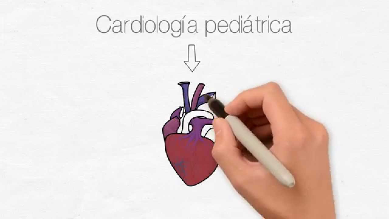 Alejandro Lozano Y Ruy Sánchez-6