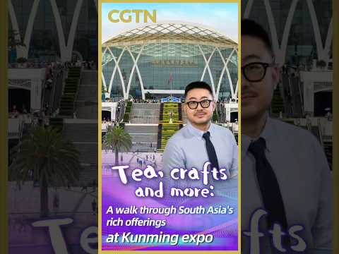 Tea, crafts and more: A walk through South Asia's rich offerings at Kunming expo