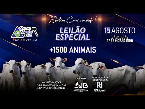 🌾  Leilão Especial  - Central Leilões - Santa Vitória (MG) - 15 de AGOSTO