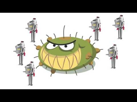 Everything you need to know about the flu