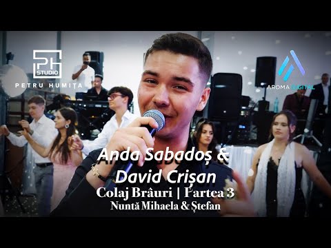 Anda Sabados & David Crisan - Colaj Brauri | Partea 3 | Nunta Mihaela & Stefan