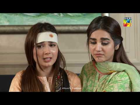 Beqadar- Episode 35 - Best Scene 04 - HUM TV
