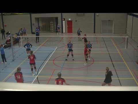 taurus d1 - compaen 28-10-2023  2