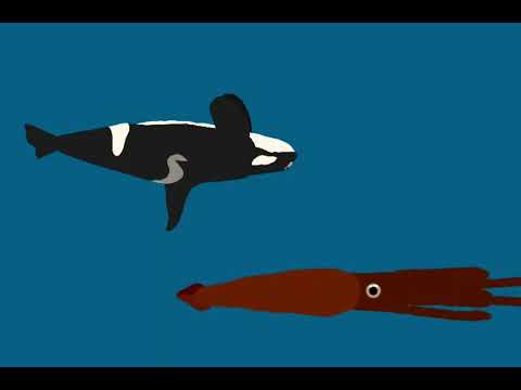 Giant squid Vs Orca