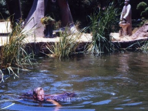 Planet of the Apes GoApe Billys ape room ep 10