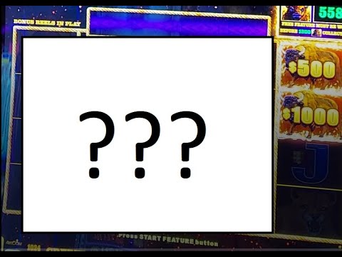 PART 1 - $500 BET UNBELIEVABLY AMAZING RUN BUFFALO LINK MASSIVE TOTAL WIN  TAMPA HARD ROCK $1 Denom